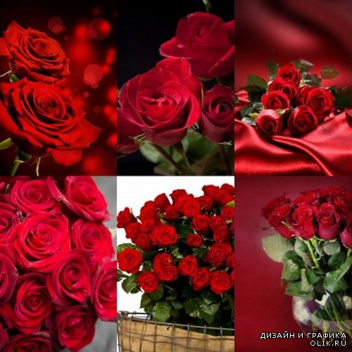 Клипарты - Красные розы