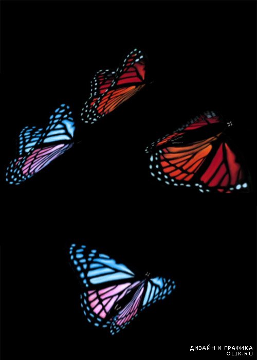 Футаж-Радужные Бабочки