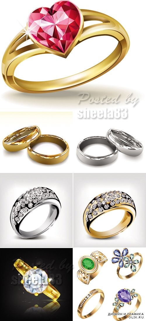 Golden & Silver Rings Vector