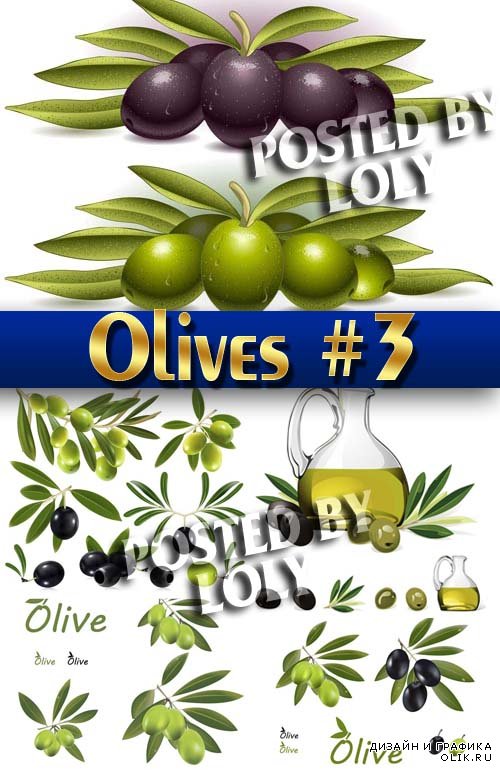Векторные оливки #3 - Векторный клипарт