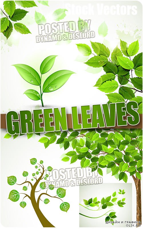 Зеленые листья - Векторный клипарт