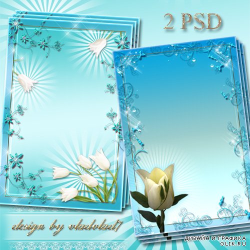 Цветочные рамки для фотошопа - Белые тюльпаны в голубом обрамлении