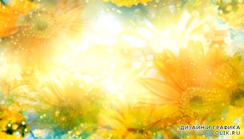 Футаж фон-Цветы на солнце