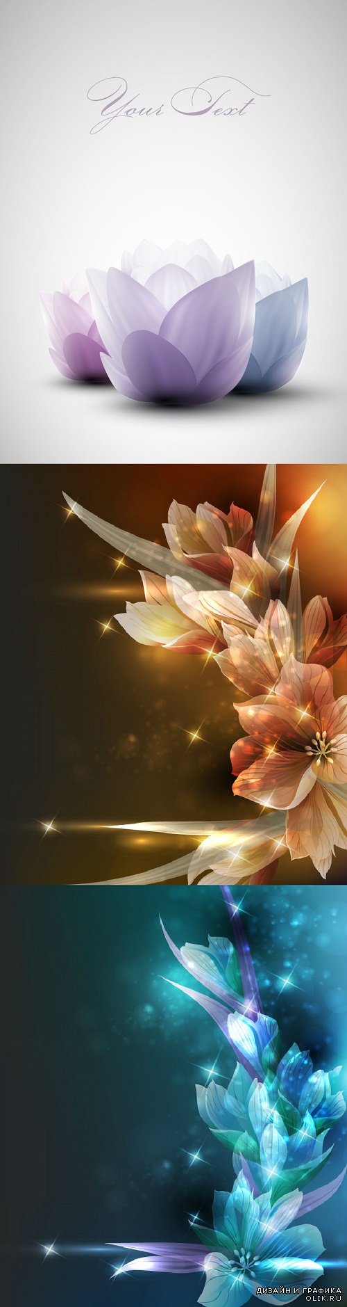 Vector - Beautiful flowers backgrounds