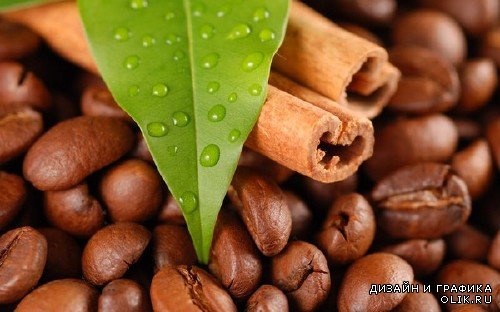 Кофе и кофейные зерна - подборка клипарта (вторая часть)