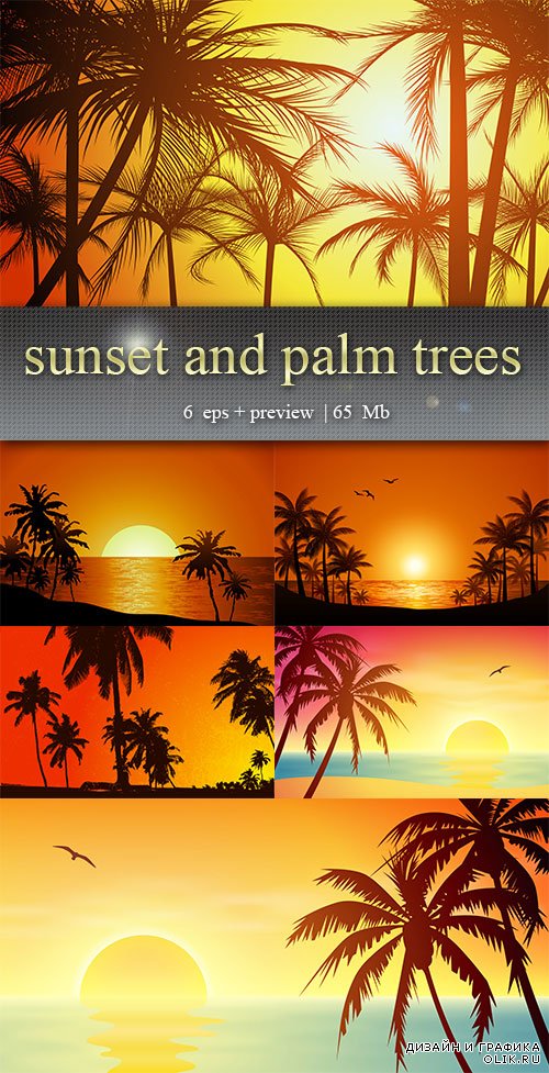 Закат и пальмы - Sunset and palm trees