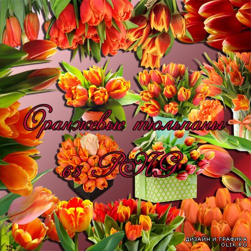 Клипарт - Оранжевые тюльпаны