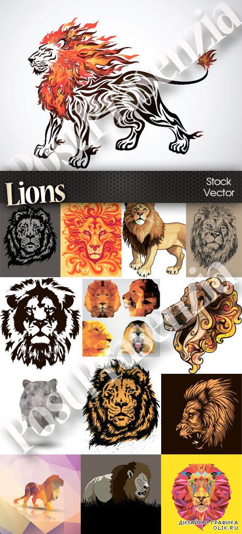 Vector set of lions - Набор львов в векторе