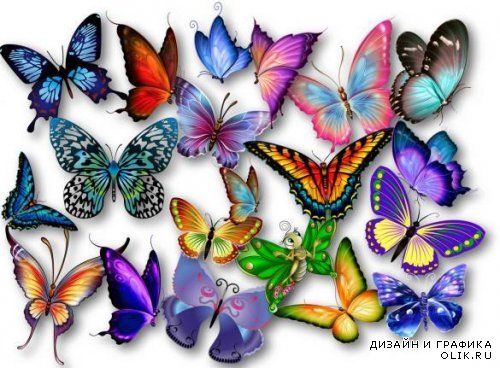 Чудесные, восхитительные, сказочные бабочки