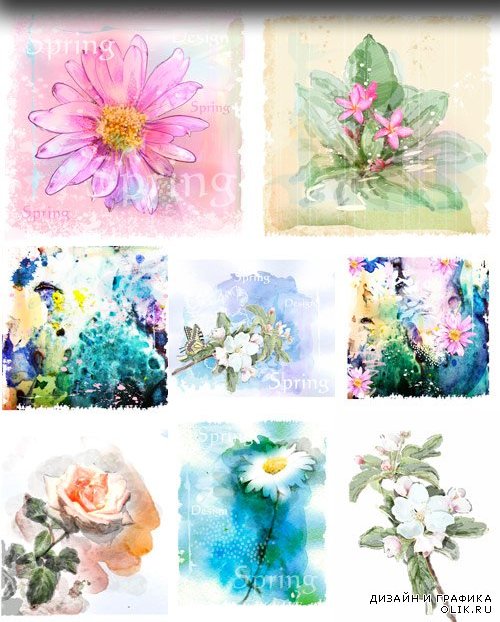 Flowers and watercolor - Цветы и акварель