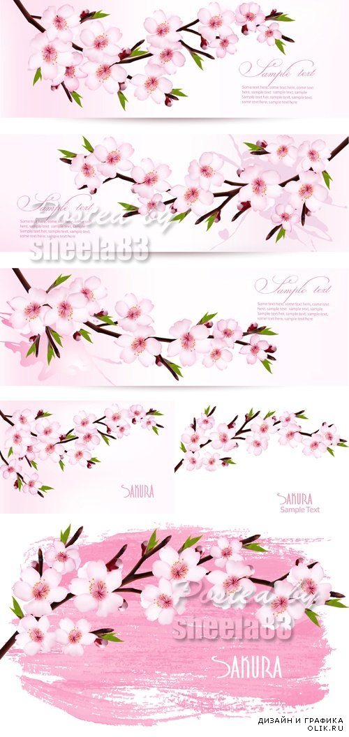 Flowering Sakura Backgrounds Vector