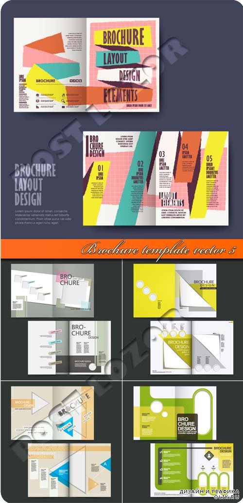 Брошюра шаблоны 5 | Brochure template vector 5