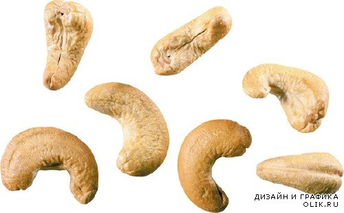 Орехи: Кешью (подборка изображений)