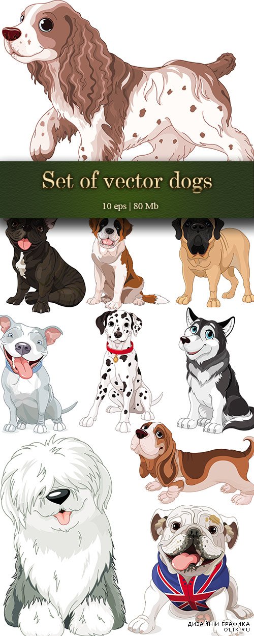 Set of vector dogs - Набор векторных собак