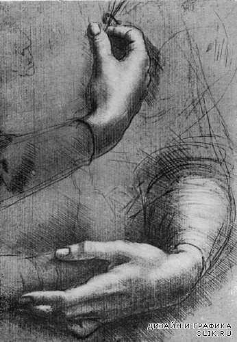 Рисунки и наброски Леонардо да Винчи