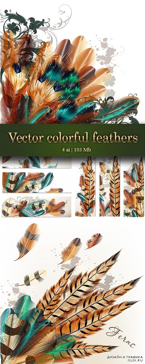 Vector colorful feathers: backgrounds and banners - Векторные красочные перья: фоны и баннеры