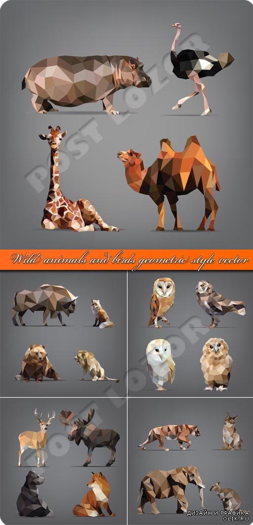 Дикие животные и птицы геометрия стиль | Wild animals and birds geometric style vector