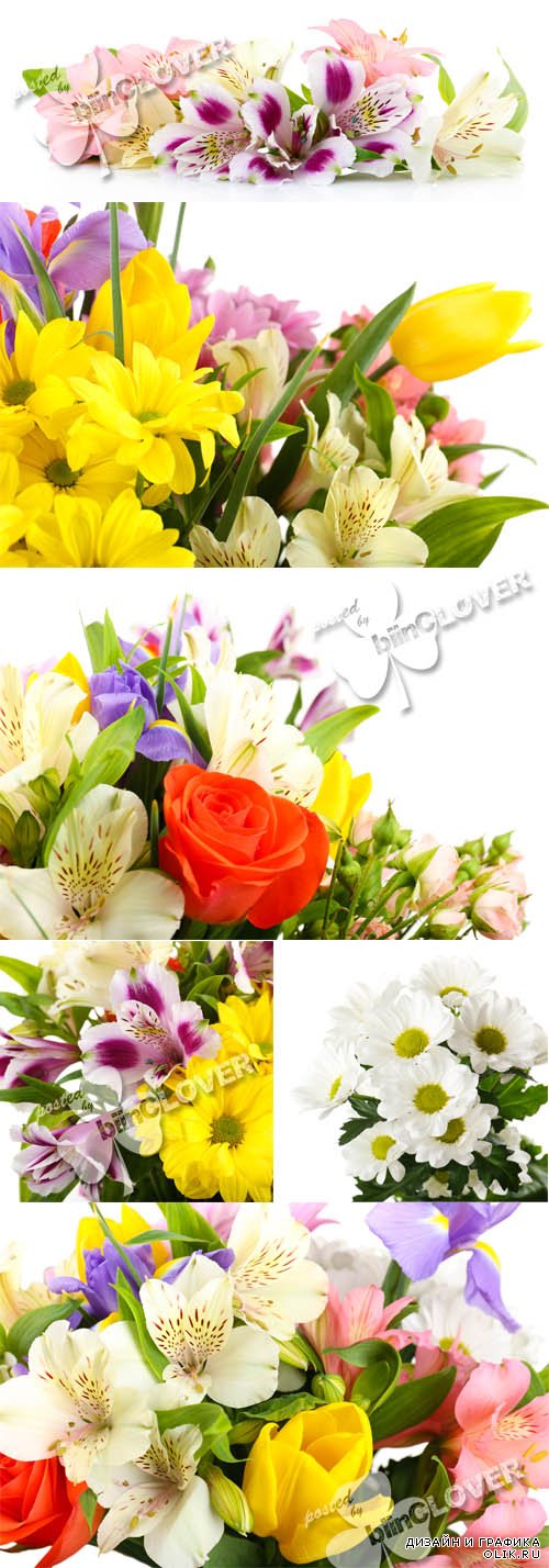 Beautiful flowers 0583
