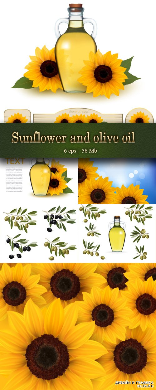 Bottles of sunflower and olive oil. Big set with green and black olives. Beautiful yellow sunflower background - Бутылки с подсолнечным и оливковым ма