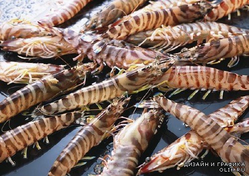Морепродукты: креветки, омары и крабы