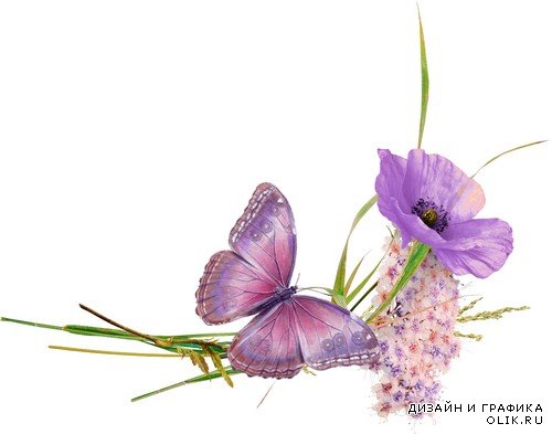 Бабочки и цветы на прозрачном фоне