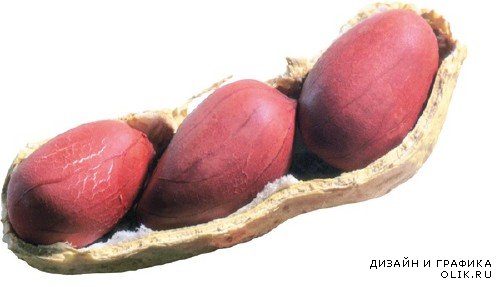 Орехи: Арахис (подборка изображений)