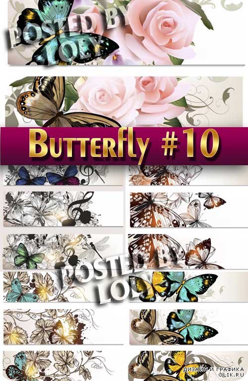 Прекрасные бабочки #10 - Векторный клипарт
