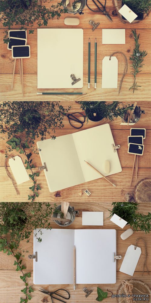 Stationery Mock ups with Nature PSD