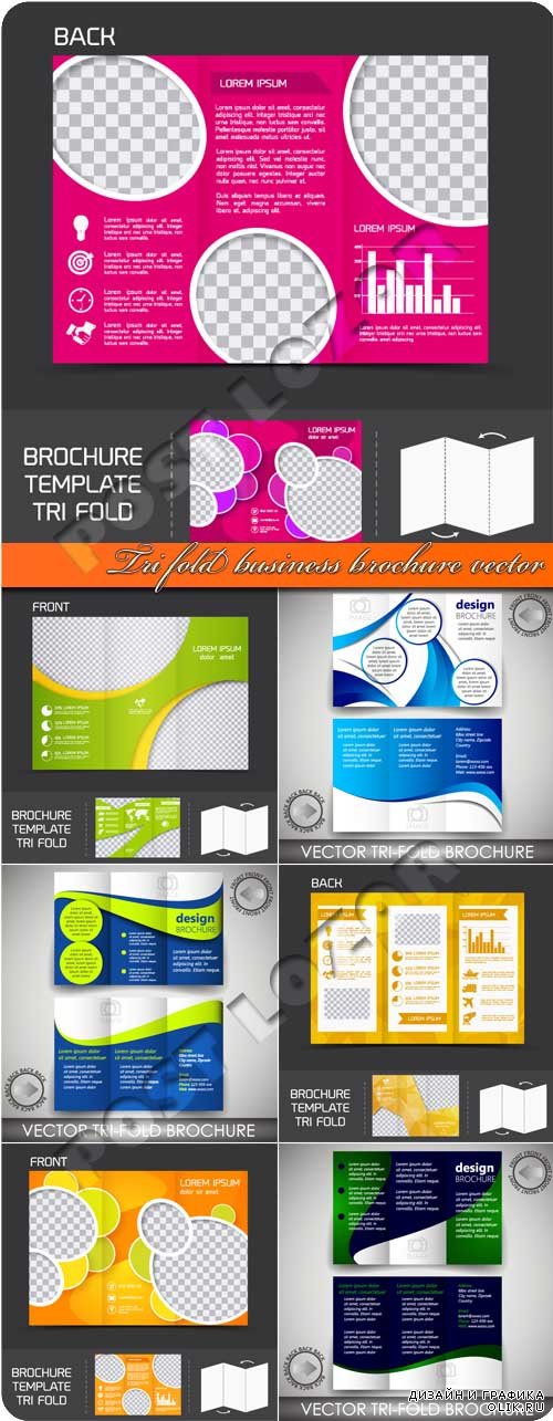 Бизнес брошюра из трёх страниц | Tri fold business brochure vector