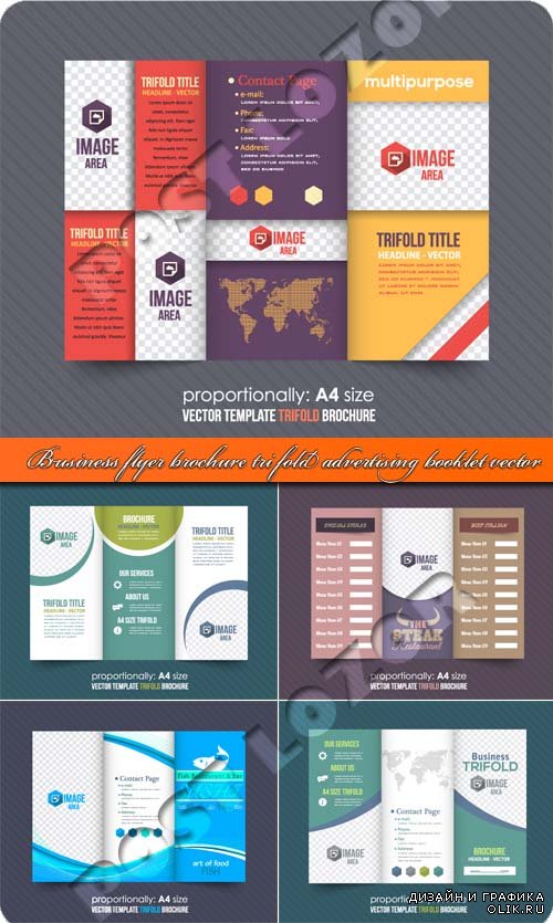 Бизнес флаер брошюра из трёх страниц и рекламный буклет | Business flyer brochure tri fold advertising booklet vector 