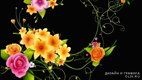 Футаж с цветами на альфаканале