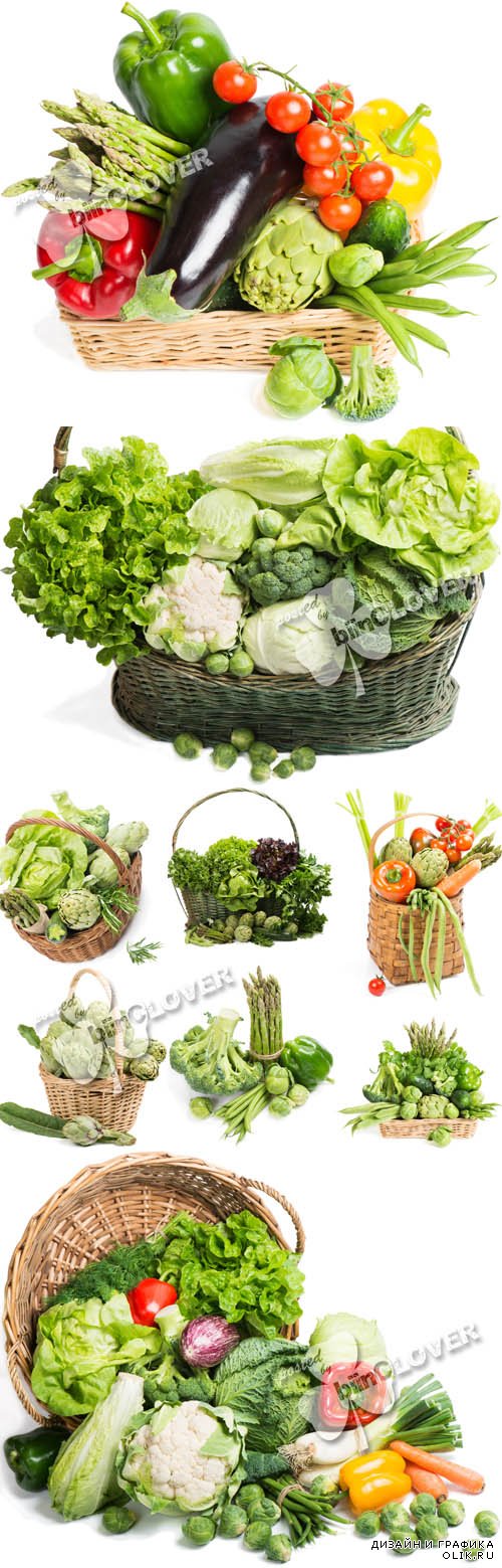 Basket with fresh vegetables 0592