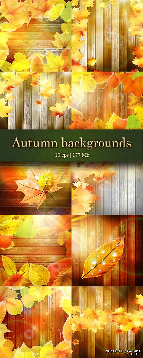 Autumn leaves on a wooden backgrounds - Осенние листься на деревянном фоне