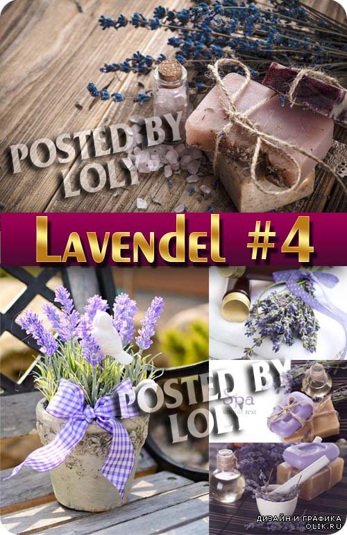Цветы Лаванды #4 - Растровый клипарт