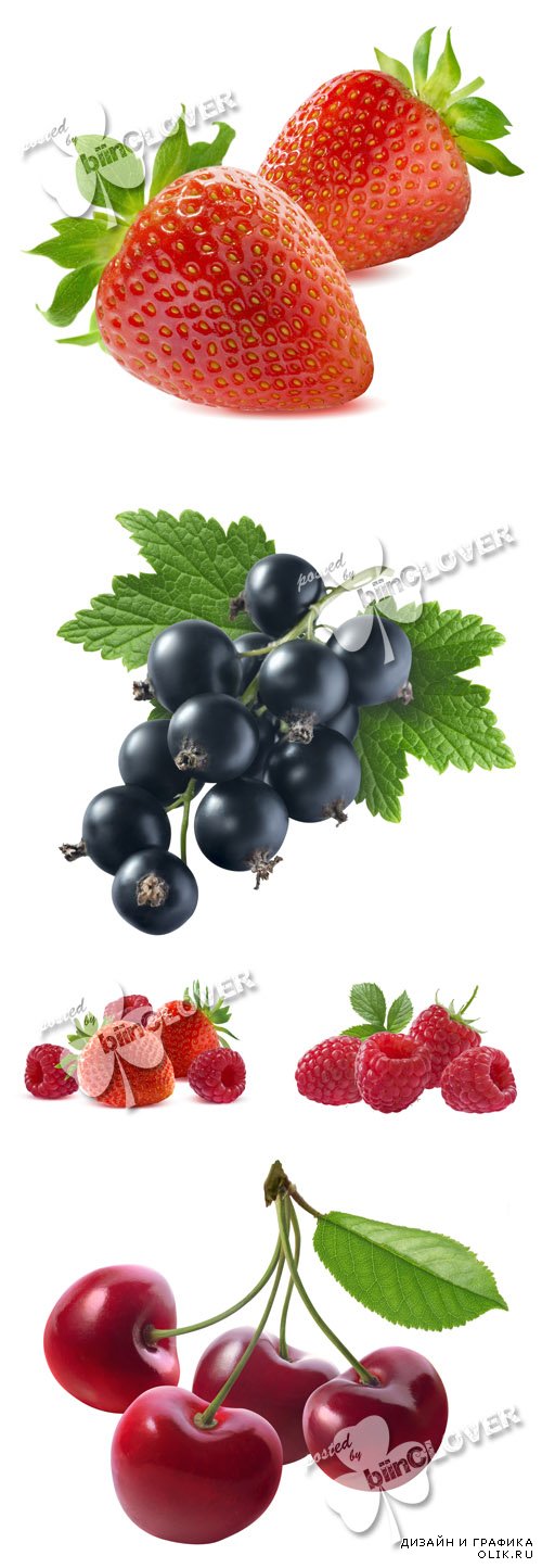 Strawberry, cherry, raspberry, black currant 0597