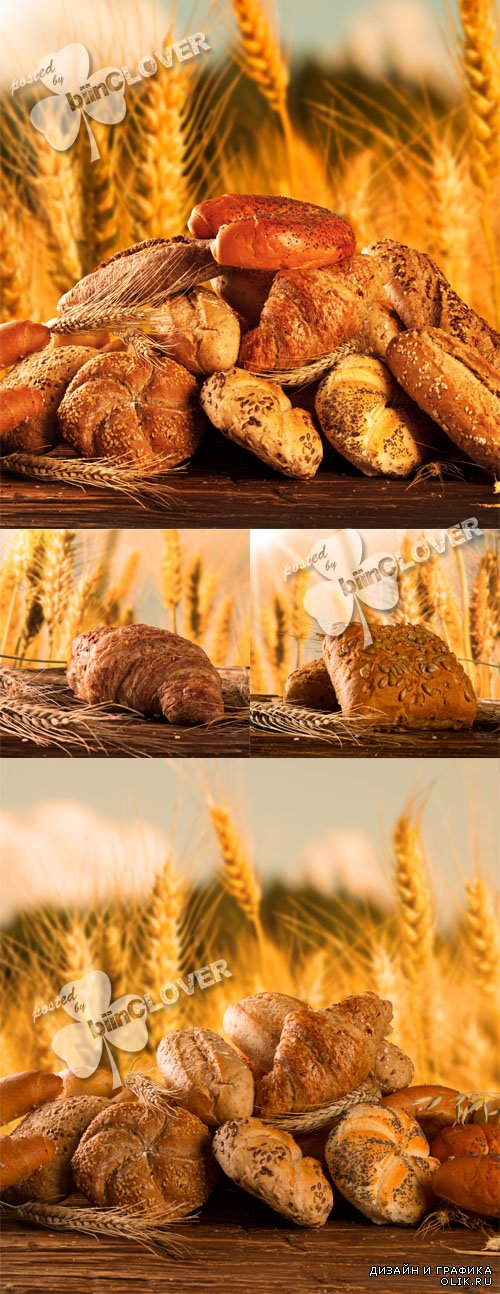 Fresh bread and wheat on the wooden background 0598
