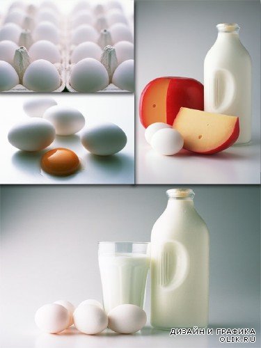 Яйца, сыр и молоко (подборка изображений)