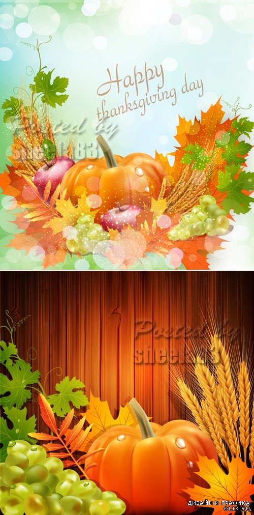 Autumn Harvest Cards Vector