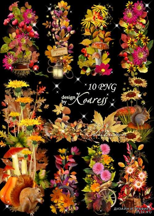Набор осенних кластеров и бордюров с листьями, цветами, грибами - Краски осени
