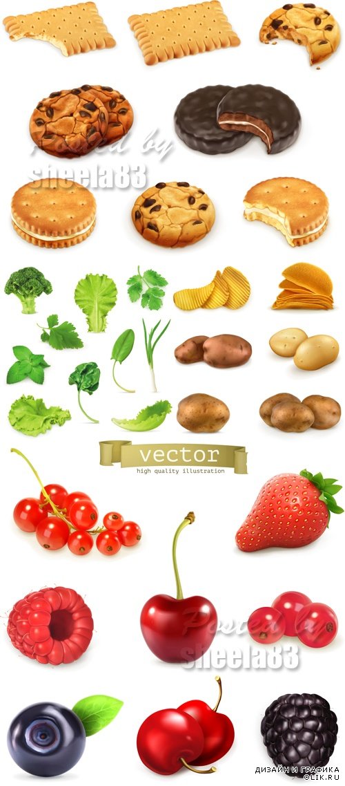 Realistic Food Vector