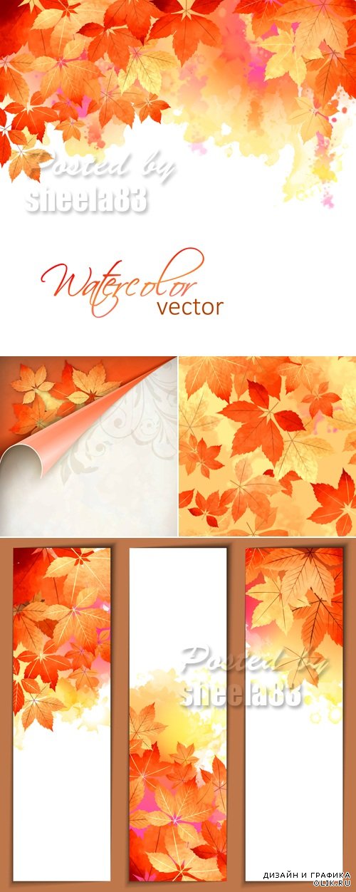 Autumn Leaves Backgrounds Vector 8