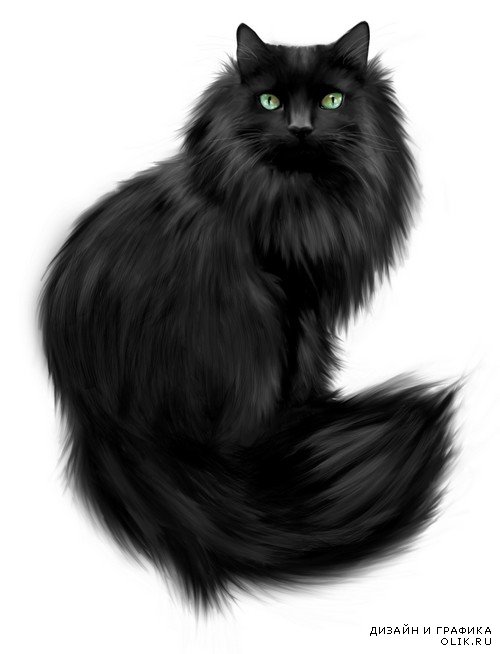 Чёрный кот - клипарт на прозрачном фоне