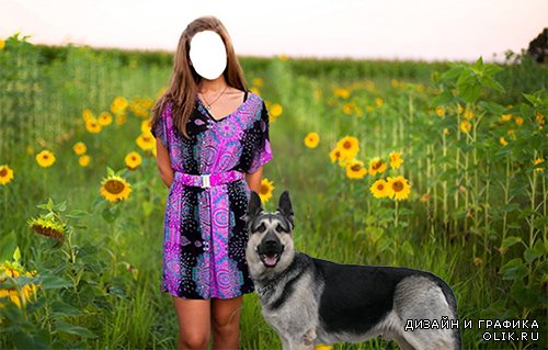 Женский фотошаблон - В подсолнухах с собакой.