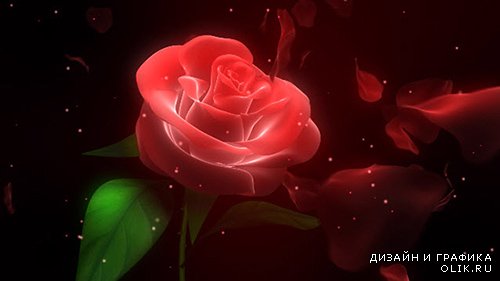 Свадебный футаж - Роза для Тебя