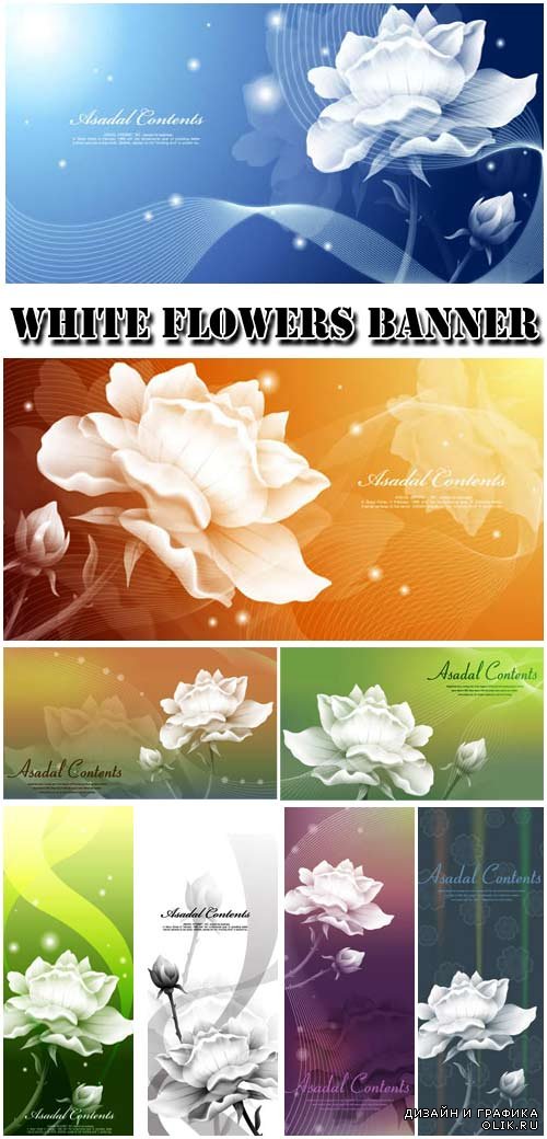 White flowers Banner