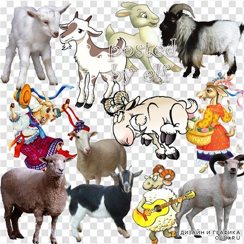 Коза и овца, символ 2015 года  - клипарт png