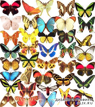 Клипарты - Бабочки от Varenich