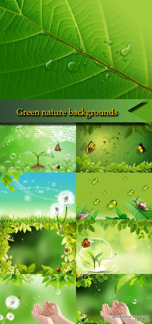 Stunning green nature backgrounds
