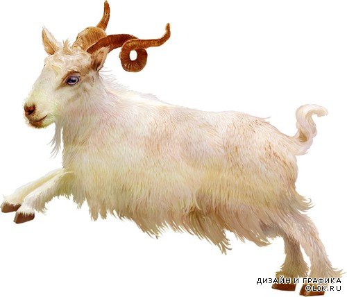 Символ 2015 - козы и овцы на прозрачном фоне
