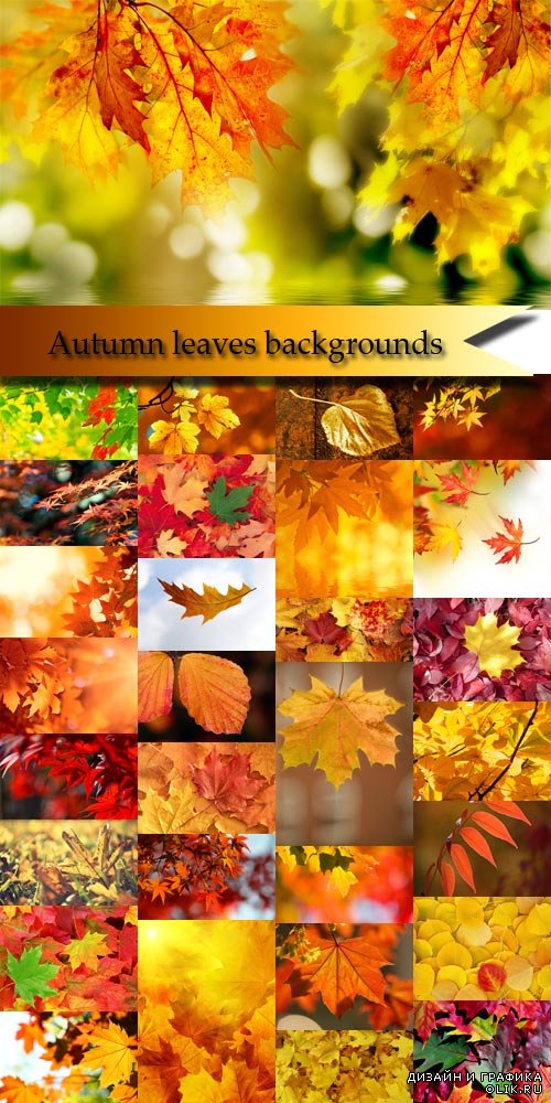 Autumn leaves backgrounds